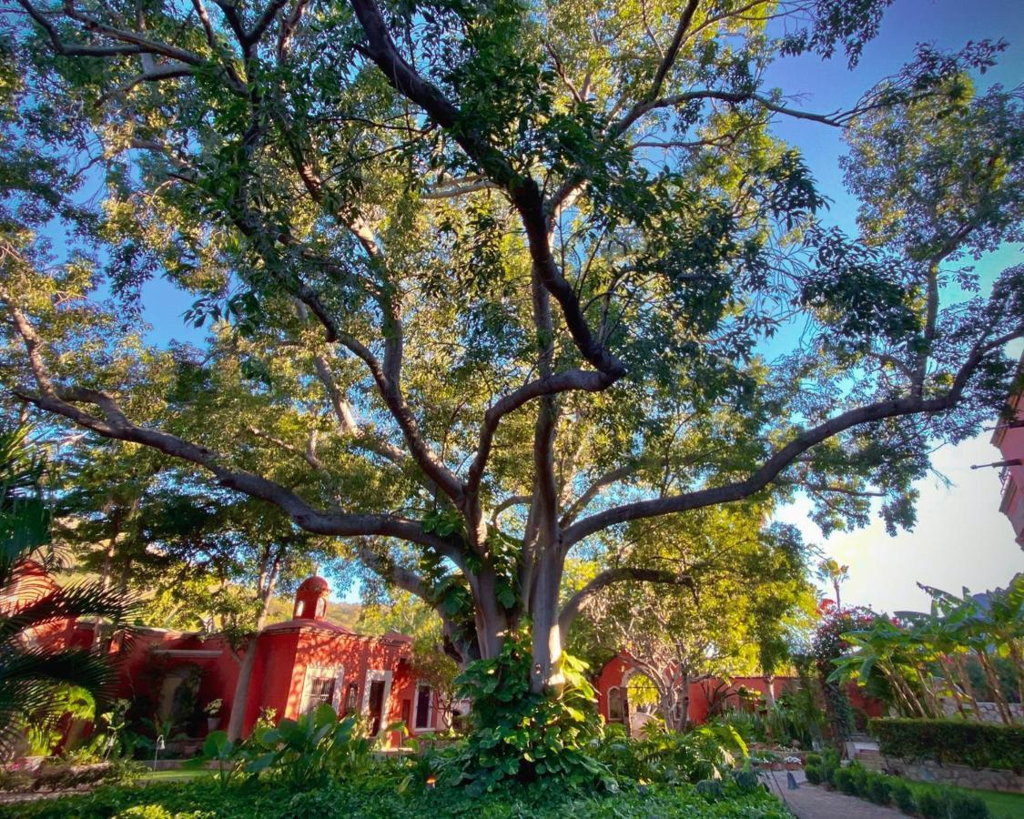 Hacienda De Los Santos Álamos Kültér fotó
