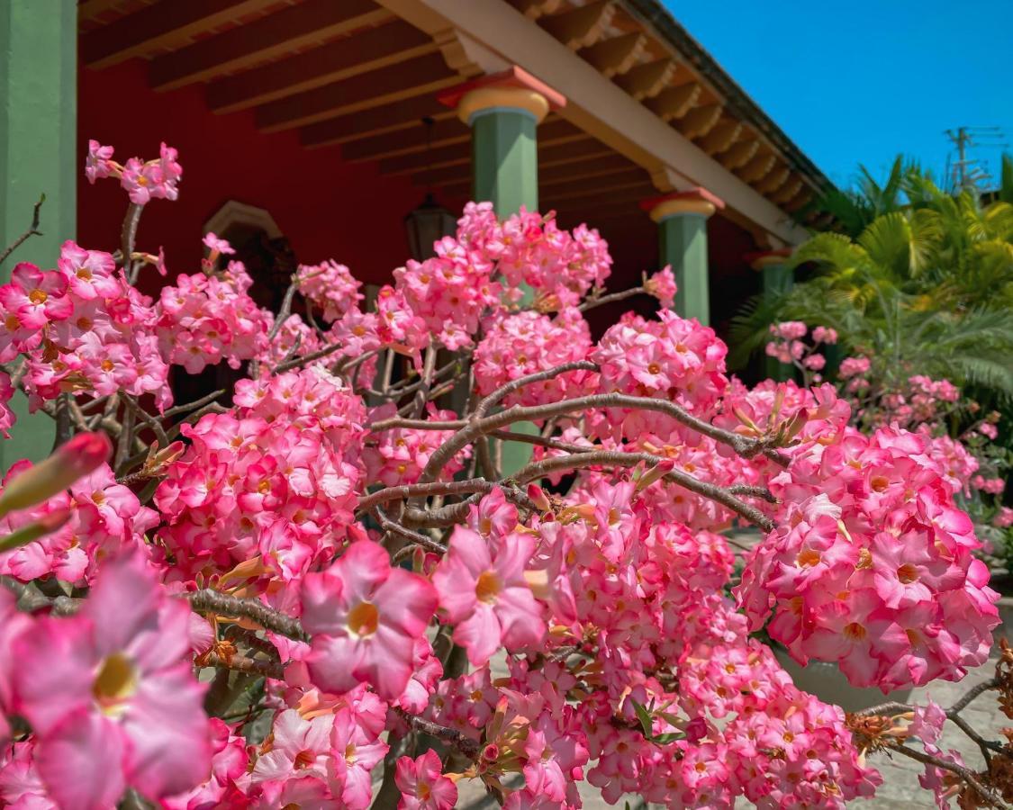 Hacienda De Los Santos Álamos Kültér fotó